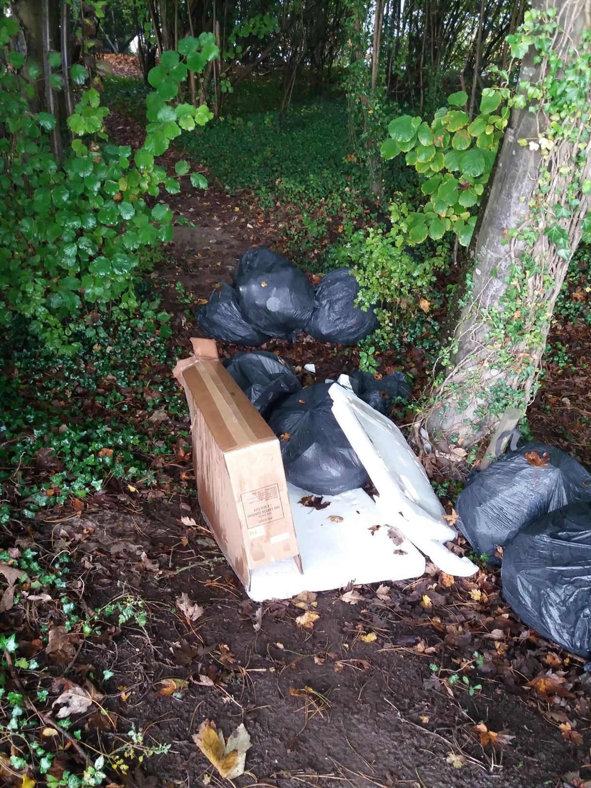 Fly-tip discovered at Ox Drove in Picket Piece