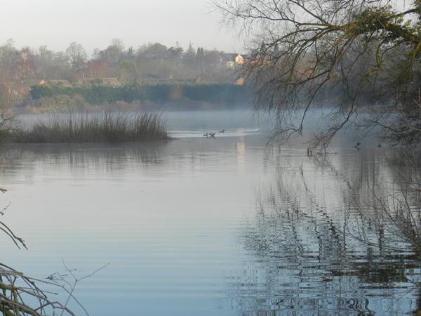 Rooksbury Mill Fishing