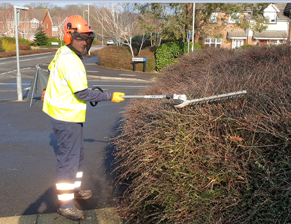 Apprentice Liam Hedge Trimming