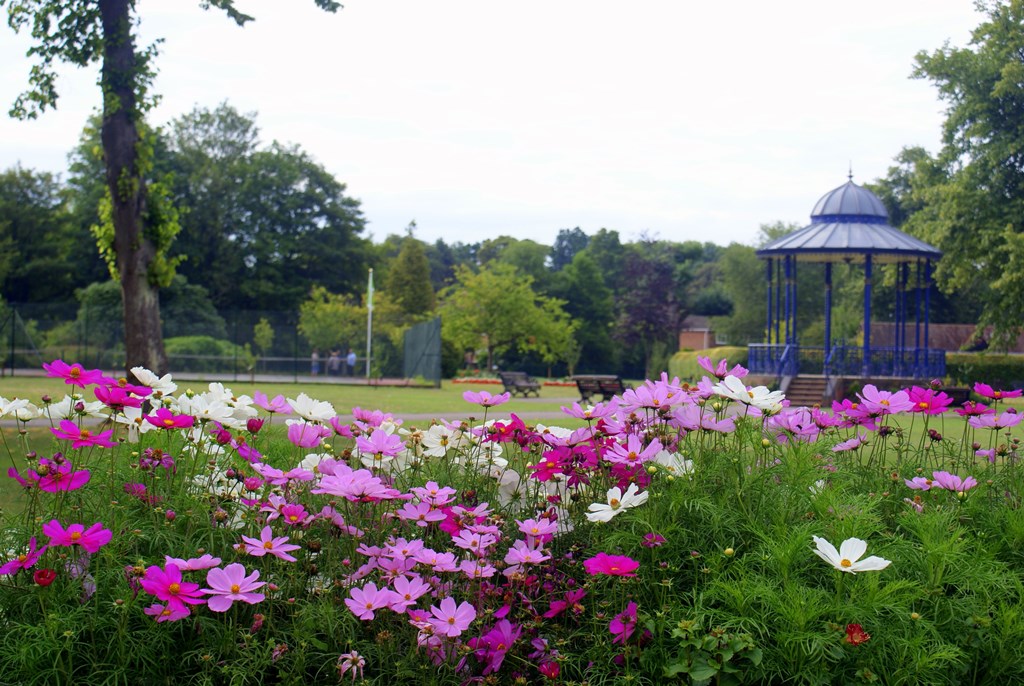 War Memorial Park - Romsey - Summer Display