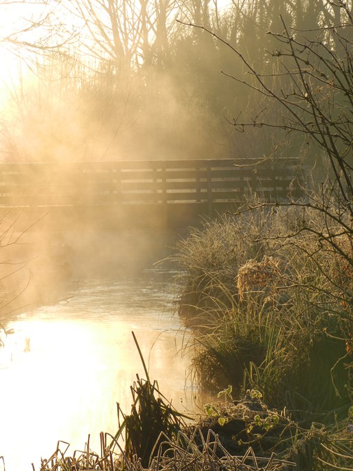 Rooksbury Mill - Autumn  2011