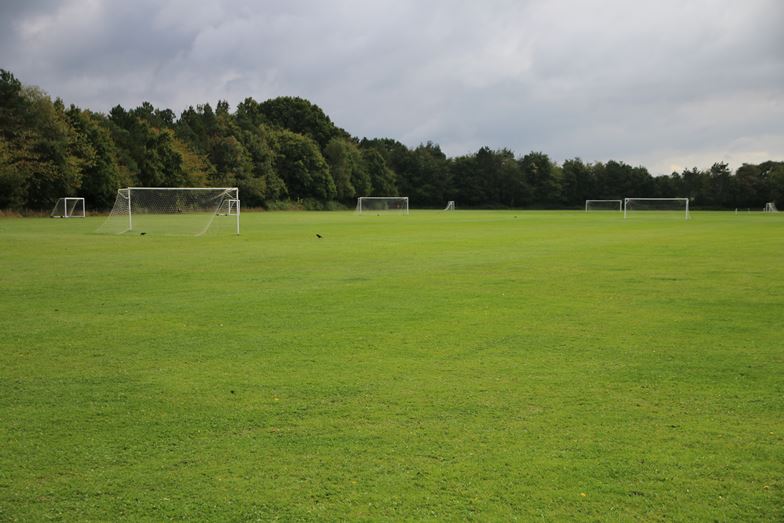 Sports pitch