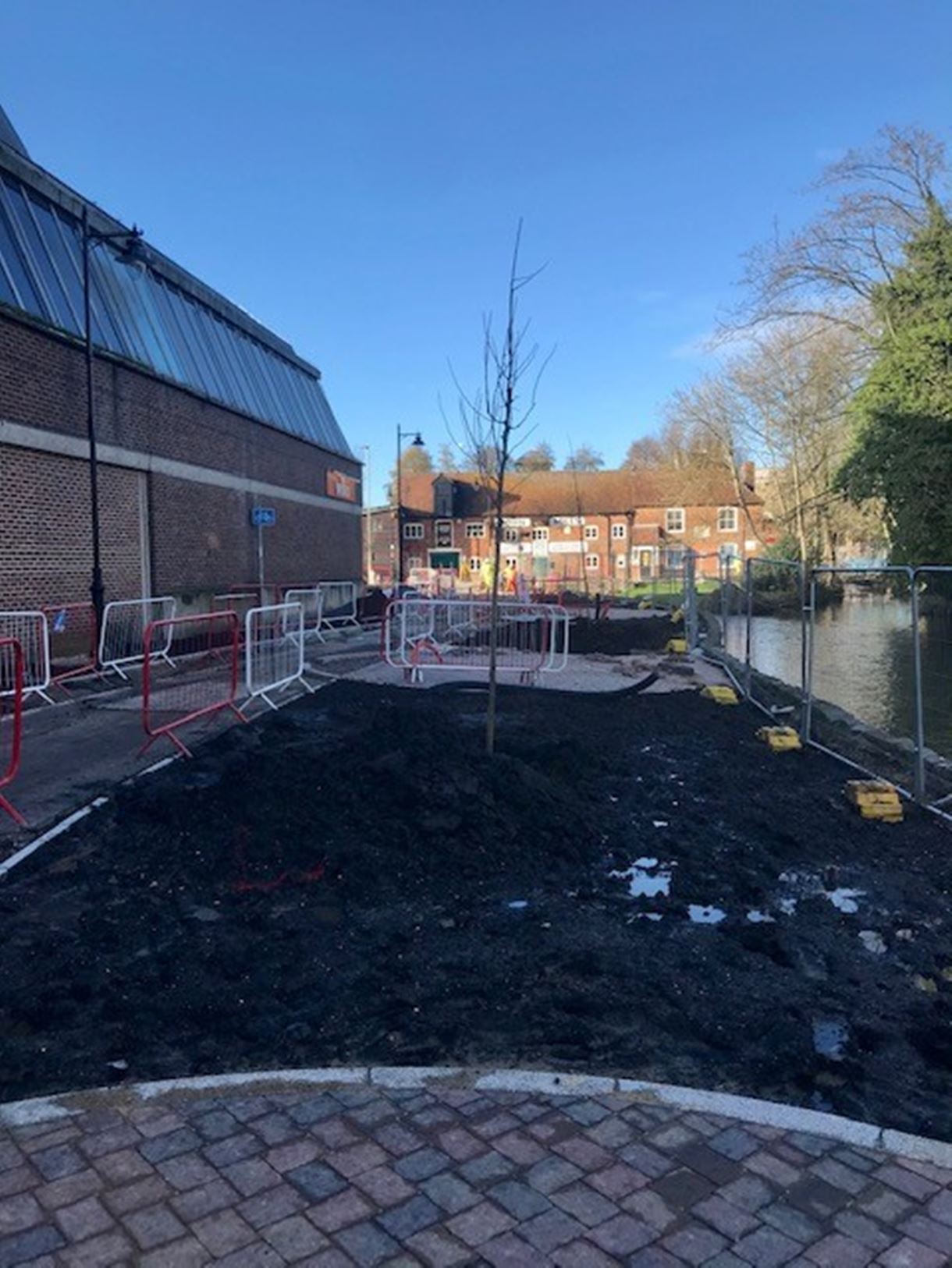 Town Mills tree planting