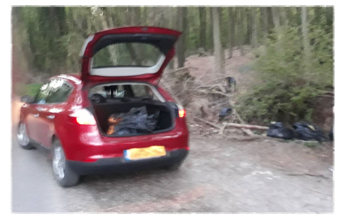 TVBC vs Lewis fly-tipping prosecution