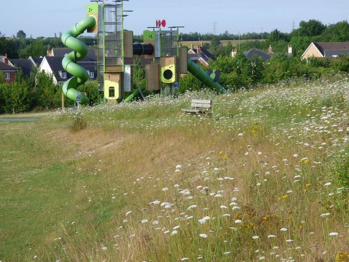 Urban meadow at Picket Twenty