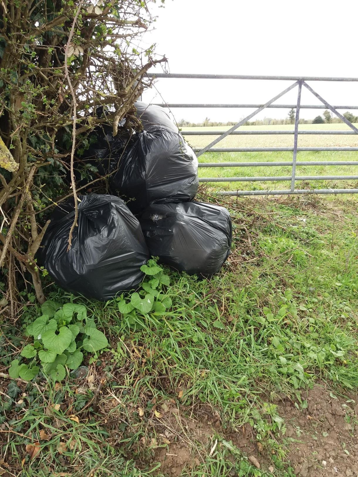TVBC vs Soare bin bags