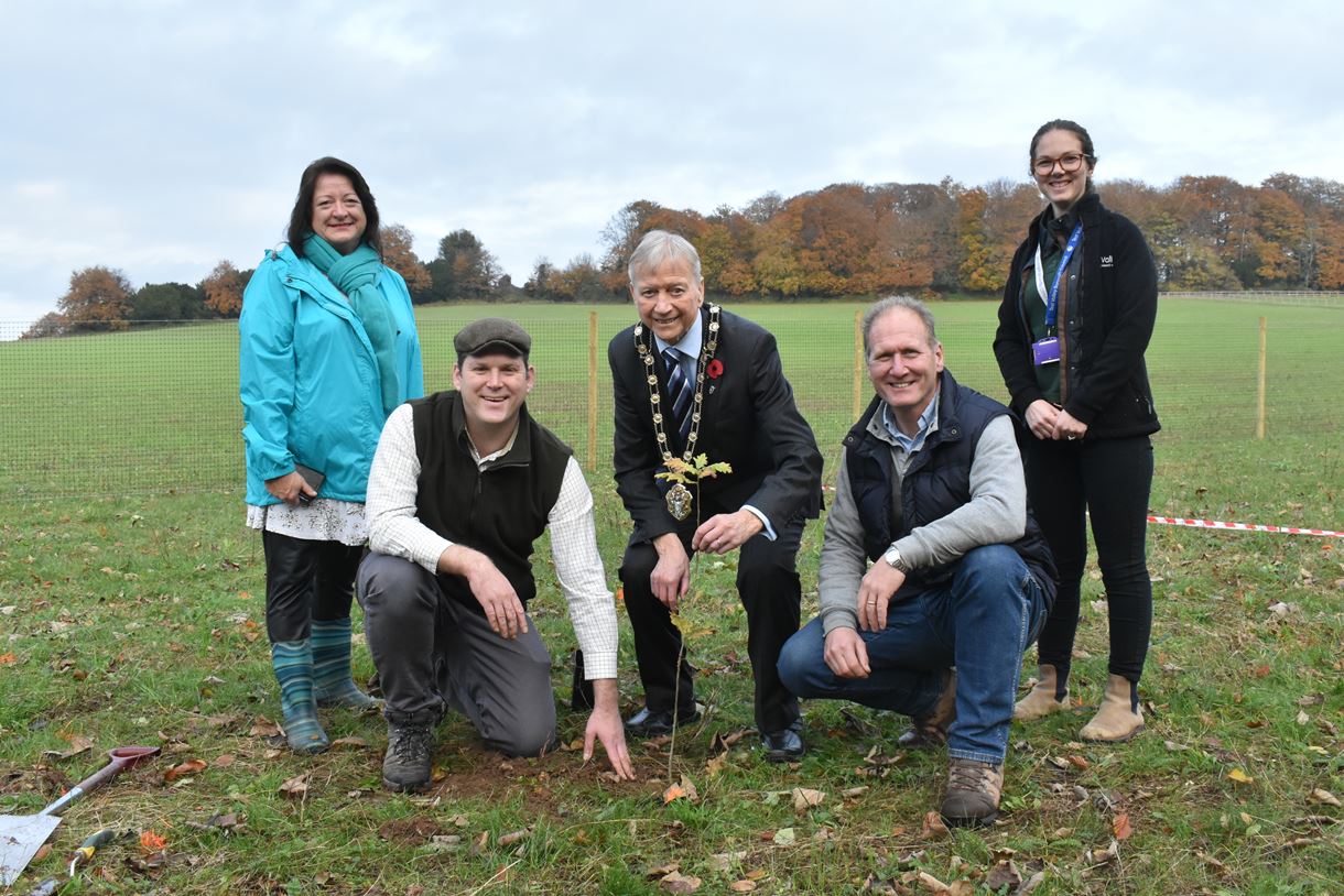 Bury Hill Tree planting ceremony