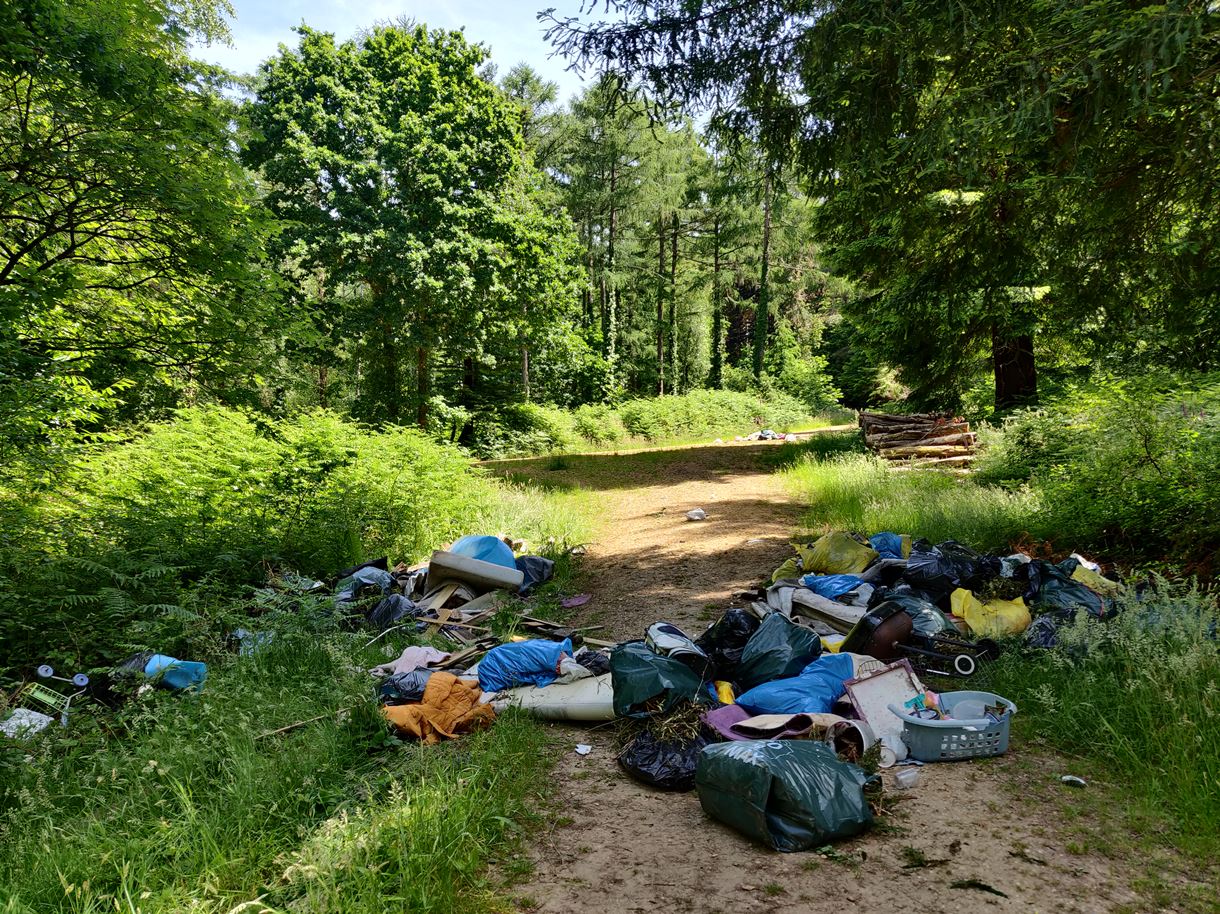 Lords Wood fly-tip