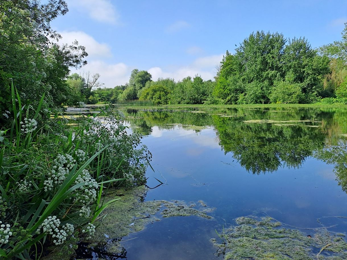 Rooksbury Mill Nature Reserve