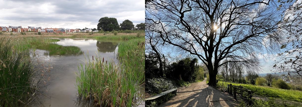 Abbotswood and Ladies walk