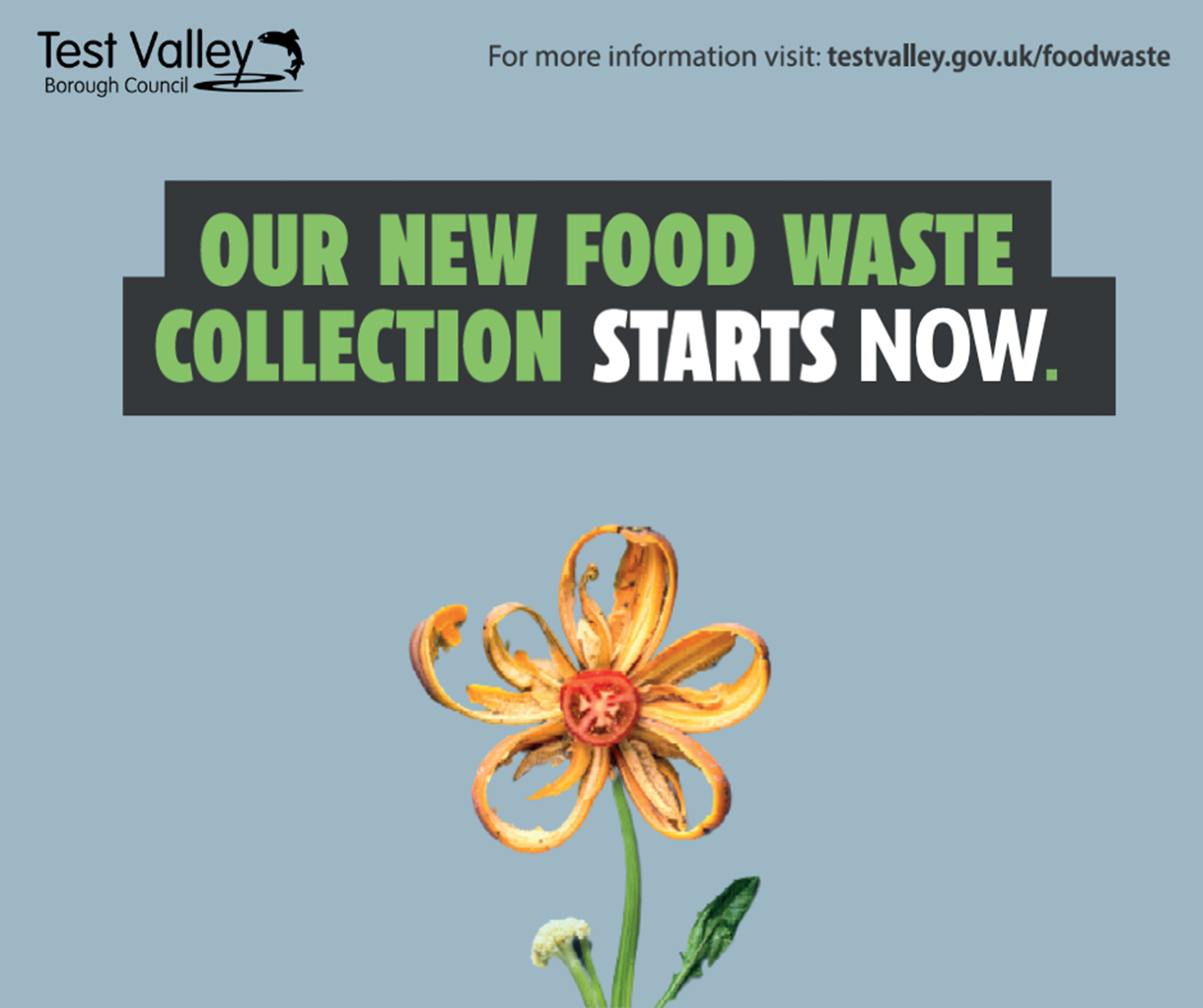 Food Waste Graphic