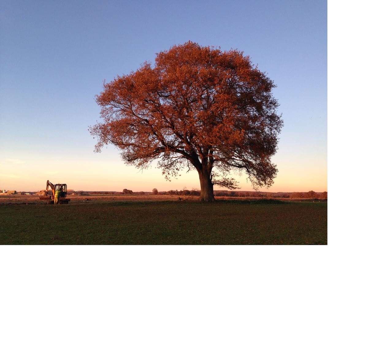 Augusta Open Space
